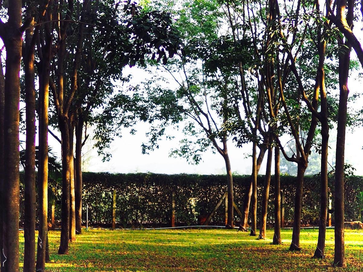 Отель Singha Rubber Tree Сайок Экстерьер фото